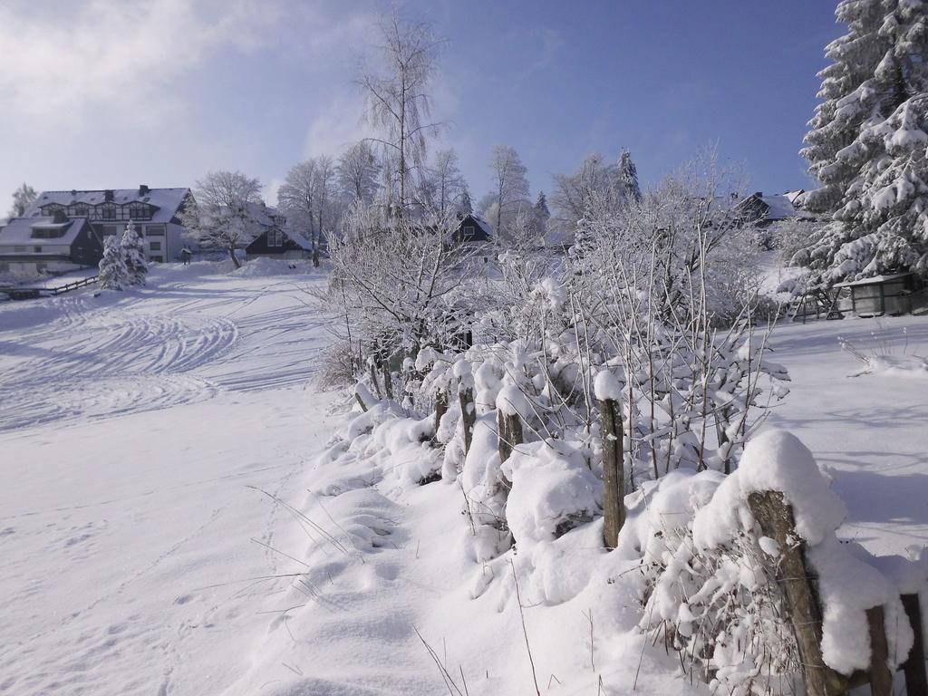 Apartment In Langewiese Sauerland With Garden วินเทอร์แบร์ก ภายนอก รูปภาพ